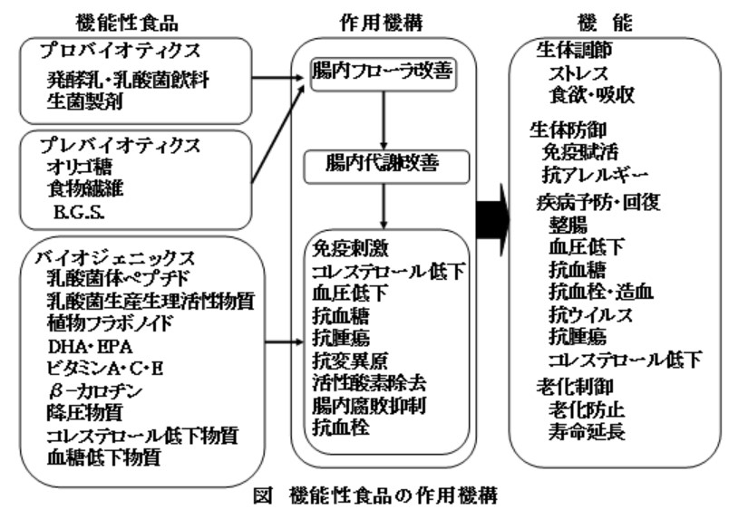 機能性食品3種類を詳しく説明