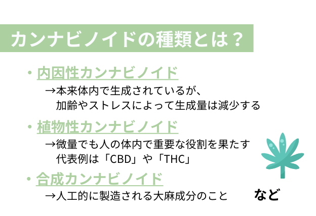 カンナビノイドには体内で生成される「内因性カンナビノイド」、CBDやTHCといった大麻草から抽出される「植物性カンナビノイド」、人工的に生成される「合成カンナビノイド」の3種類が存在します