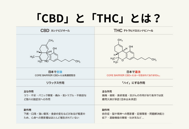 CBDは日本で合法　リラックス作用が注目されている　THCは違法成分であり、その副作用が危険視されている