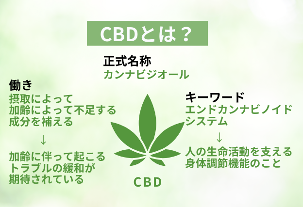 CBDの正式名称はカンナビジオール。加齢に伴って起こるトラブルの緩和が期待されており、人の生命活動を支えるエンドカンナビノイドシステムにも大きく関係する成分