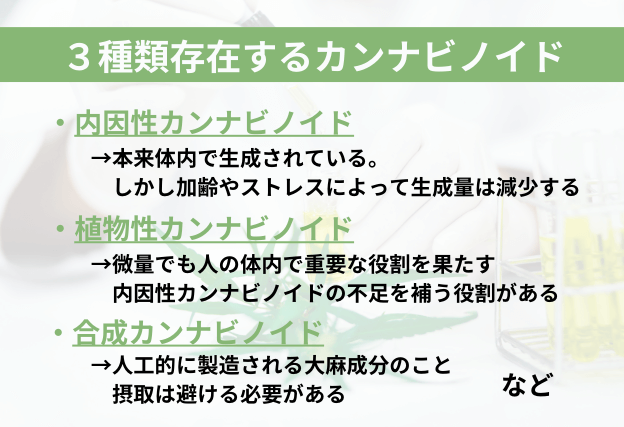 カンナビノイド3種類　体内で元々生成されている「内因性カンナビノイド」　内因性カンナビノイドの不足を補う「植物性カンナビノイド」　人工的に製造された大麻成分である「合法カンナビノイド」