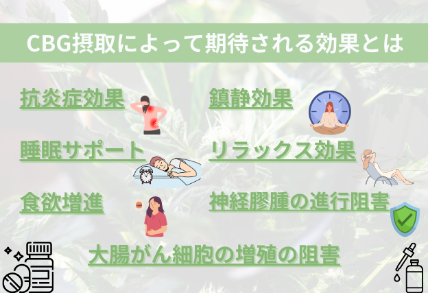 CBGの効果　抗炎症作用　鎮静効果　睡眠サポート　食欲欲心　リラックス効果　大腸がん細胞の増殖の阻害
