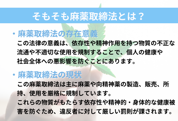 麻薬取締法の意義は「依存性や精神作用を持つ物質の不正な流通や不適切な使用を規制することで、個人の健康や社会全体への悪影響を防ぐこと」　麻薬や向精神薬の製造、販売、所持、使用を厳格に規制している