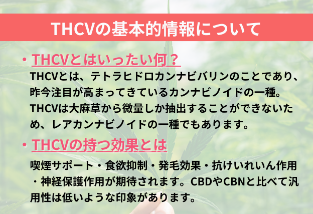 THCVとはTetrahydrocannabivarin(テトラヒドロカンナビバリン)のことであり、抽出量が少ないレアカンナビノイドの一種