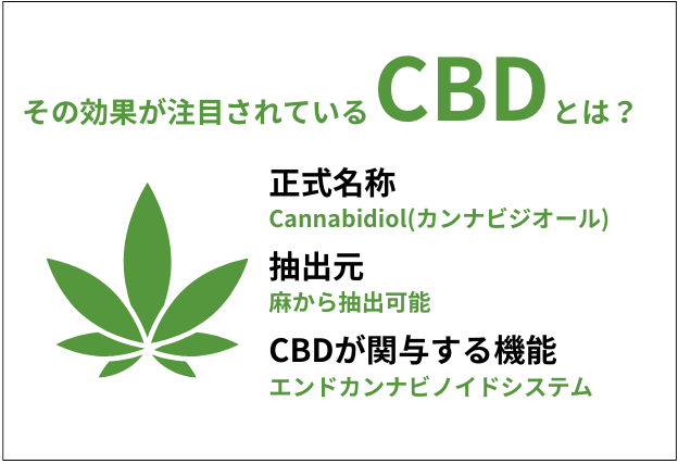 CBDの正式目性はカンナビジオールで、朝から抽出が可能。エンドカンナビノイドシステムとの関係もあります