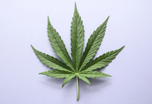 CBDはやめたほうがいい？