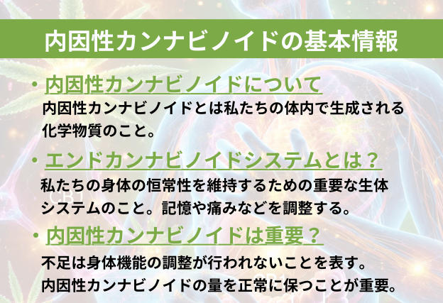 内因性カンナビノイドとは私たちの体内で生成される化学物資のこと。人の身体調節機能であるエンドカンナビノイドシステムとも密接に関わっている成分。不足は身体機能の調節が行われないことを表す。