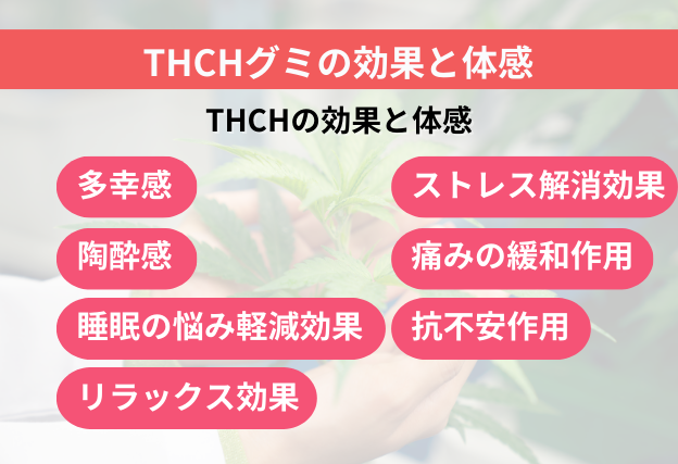 THCHグミの効果と体感に関する解説